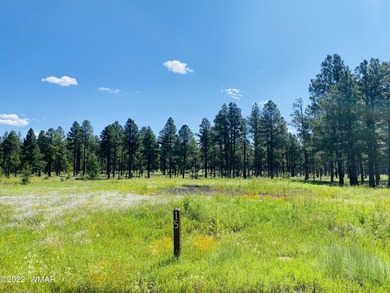 Beautiful 1.03 acre lot at Sierra Springs Ranch backing National - photo 4