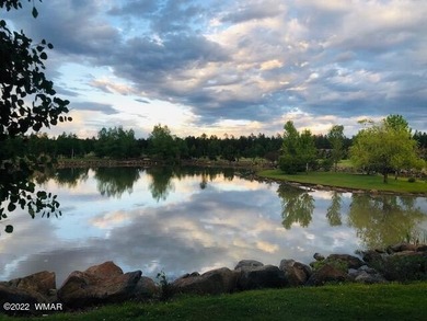 Beautiful 1.03 acre lot at Sierra Springs Ranch backing National - photo 6