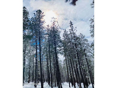 Beautiful 1.03 acre lot at Sierra Springs Ranch backing National - photo 10