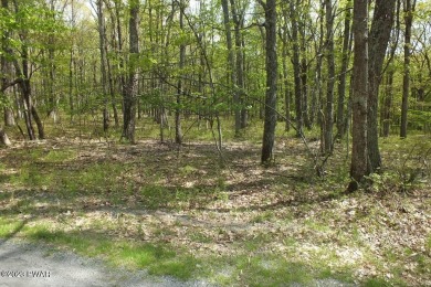 Tink Wig Lake Lot For Sale in Hawley Pennsylvania