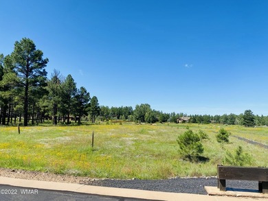 Beautiful 1.5 acre lot at Sierra Springs Ranch. Meadow lot with - photo 5