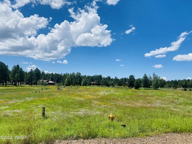 Beautiful 1.5 acre lot at Sierra Springs Ranch. Meadow lot with - photo 6