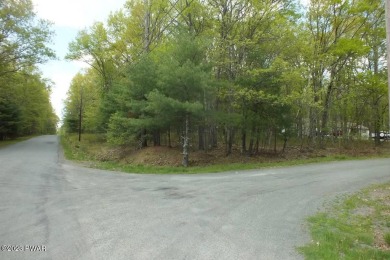 Tink Wig Lake Lot For Sale in Hawley Pennsylvania