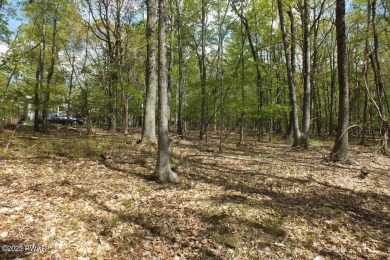 Tink Wig Lake Lot For Sale in Hawley Pennsylvania