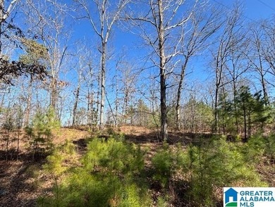 Look at that spectacular view! This property consists of three - photo 8
