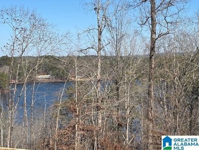Look at that spectacular view! This property consists of three - photo 9