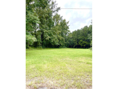 Lake Acreage For Sale in Jena, Louisiana