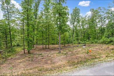 Take a look at this beautiful piece of land just minutes from - photo 3