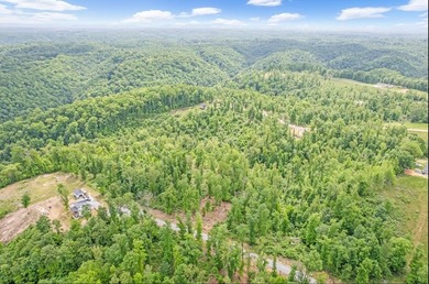 Take a look at this beautiful piece of land just minutes from - photo 7