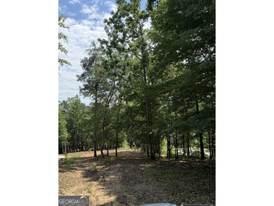 BUILDING YOUR DREAM HOME just got easier. This lot is located in - photo 15