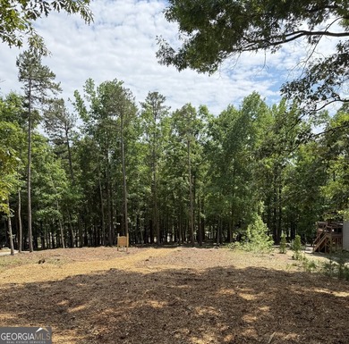 BUILDING YOUR DREAM HOME just got easier. This lot is located in - photo 16