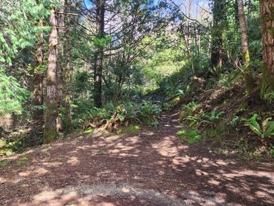 Secluded .5acre wooded lot on the Oregon Coast. Discover the - photo 1