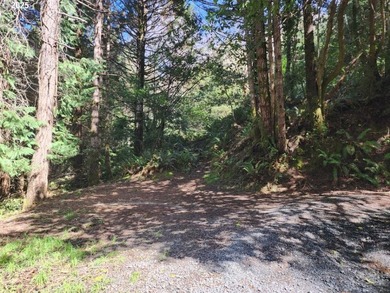 Secluded .5acre wooded lot on the Oregon Coast. Discover the - photo 2