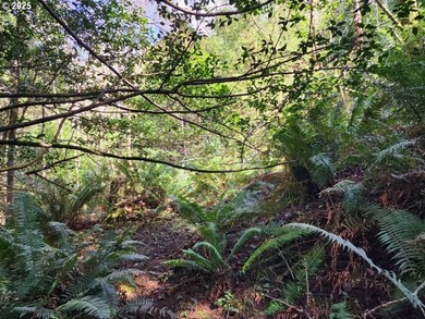 Secluded .5acre wooded lot on the Oregon Coast. Discover the - photo 3