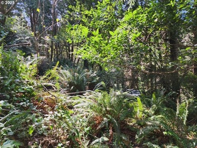 Secluded .5acre wooded lot on the Oregon Coast. Discover the - photo 5
