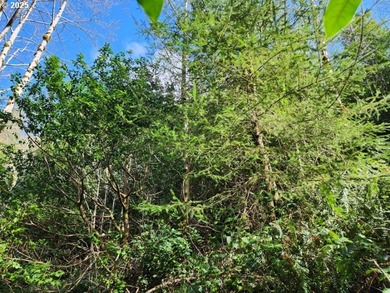 Secluded .5acre wooded lot on the Oregon Coast. Discover the - photo 6