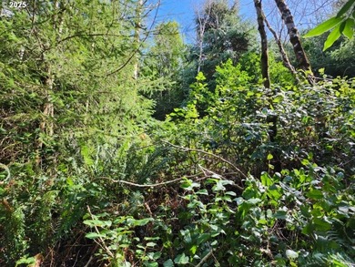 Secluded .5acre wooded lot on the Oregon Coast. Discover the - photo 7