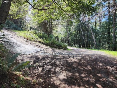 Secluded .5acre wooded lot on the Oregon Coast. Discover the - photo 8