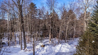 Design your home on this lovely vacant lot located on the - photo 11