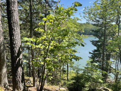 Sheepscot River Acreage For Sale in Westport Island Maine