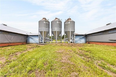 Central Georgia Poultry Farm for Sale | Active 6-House Broiler - photo 19
