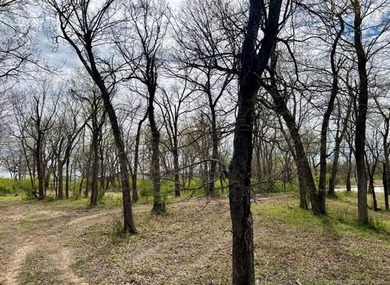 Lake Acreage For Sale in Sperry, Oklahoma