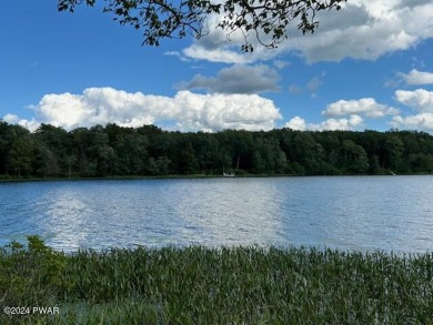 Spruce Lake In Northern Wayne County, PA  - Lake Acreage For Sale in Thompson, Pennsylvania