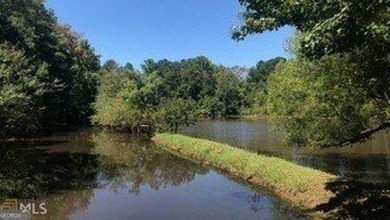 Lake Acreage For Sale in Mcdonough, Georgia