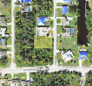 Port Charlotte Waterway Lakes Area Lot For Sale in Port Charlotte Florida