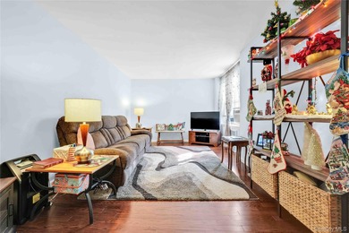 East River Home For Sale in Flushing New York