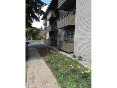 Charming, clean, and well maintained Wildwood Studio, close to - photo 12
