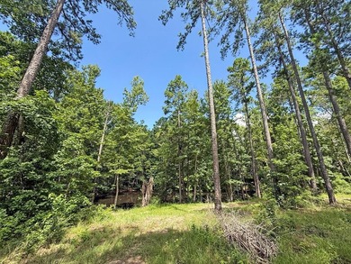 Beautiful 24.5 acre tract offering privacy and convenience just - photo 14