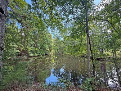Beautiful 24.5 acre tract offering privacy and convenience just - photo 15