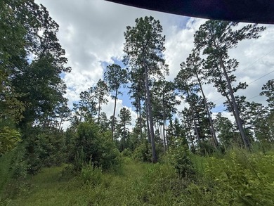 Beautiful 24.5 acre tract offering privacy and convenience just - photo 16