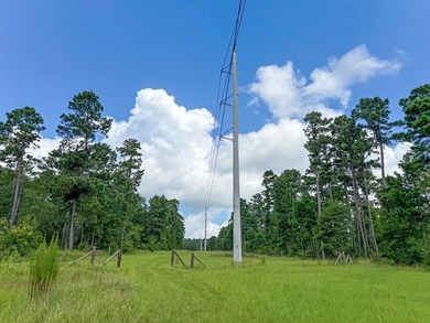 Beautiful 24.5 acre tract offering privacy and convenience just - photo 17