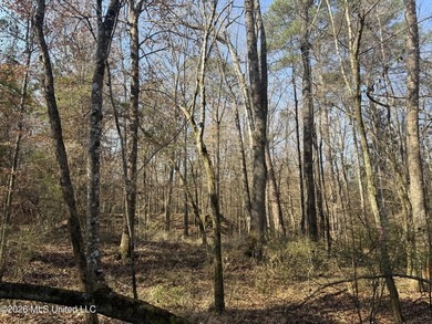 Land for sale in Simpson Countye check out this beautiful +/- 80 - photo 2