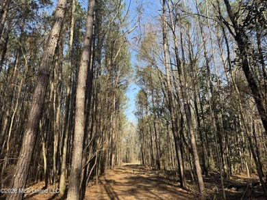 Land for sale in Simpson Countye check out this beautiful +/- 80 - photo 3