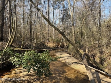 Land for sale in Simpson Countye check out this beautiful +/- 80 - photo 4