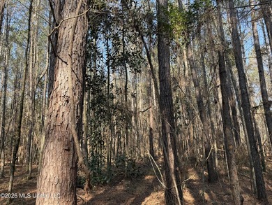 Land for sale in Simpson Countye check out this beautiful +/- 80 - photo 5