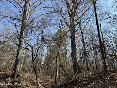 Land for sale in Simpson Countye check out this beautiful +/- 80 - photo 6