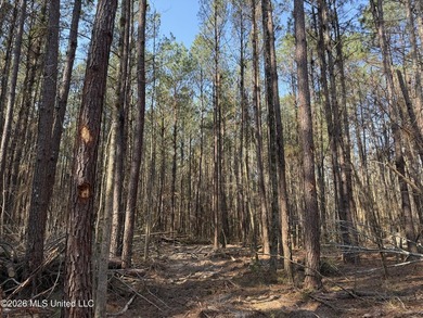 Land for sale in Simpson Countye check out this beautiful +/- 80 - photo 7