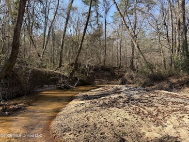 Land for sale in Simpson Countye check out this beautiful +/- 80 - photo 8