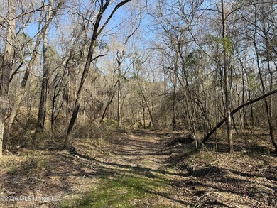 Land for sale in Simpson Countye check out this beautiful +/- 80 - photo 9