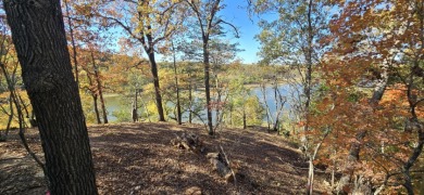 Newly Constructed- King's River Home - photo 18