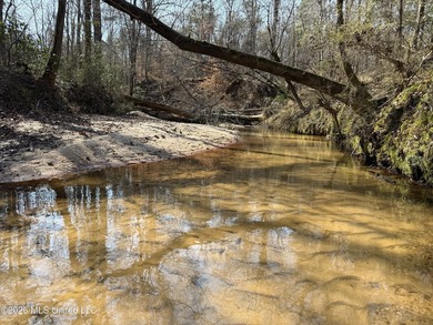 Land for sale in Simpson Countye check out this beautiful +/- 80 - photo 10