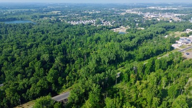 (private lake, pond, creek) Acreage For Sale in Sparta Michigan