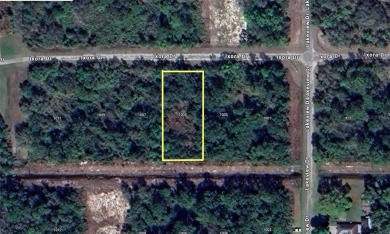 Lake Weohyakapka (Lake Walk-In-Water) Lot For Sale in Indian Lake Estates Florida