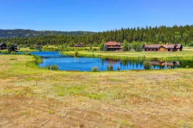(private lake, pond, creek) Lot Sale Pending in Mccall Idaho