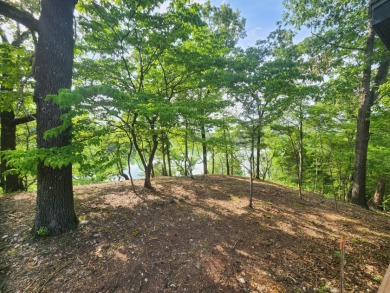 Newly Constructed- King's River Home - photo 13