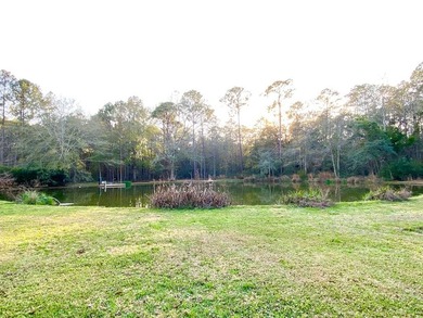 Located just outside the city limits, this home has had many - photo 47